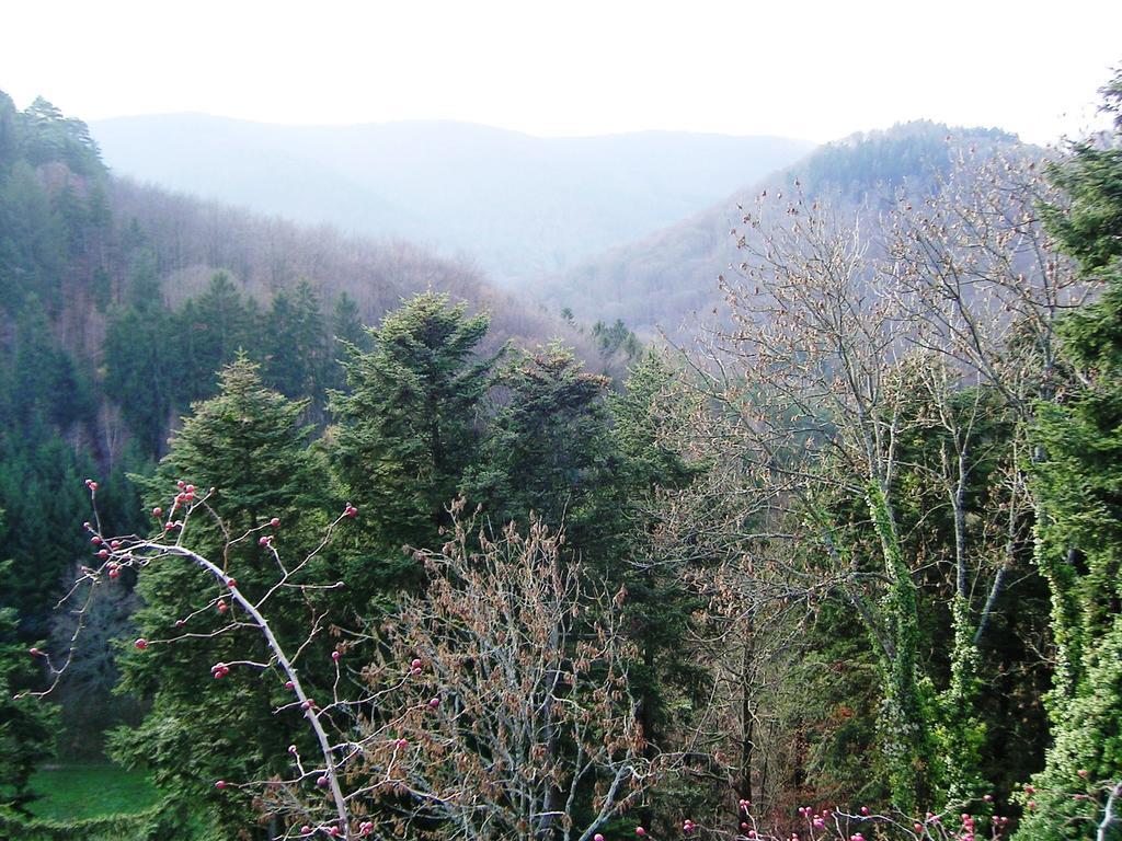 Gite Du Windstein Exteriér fotografie